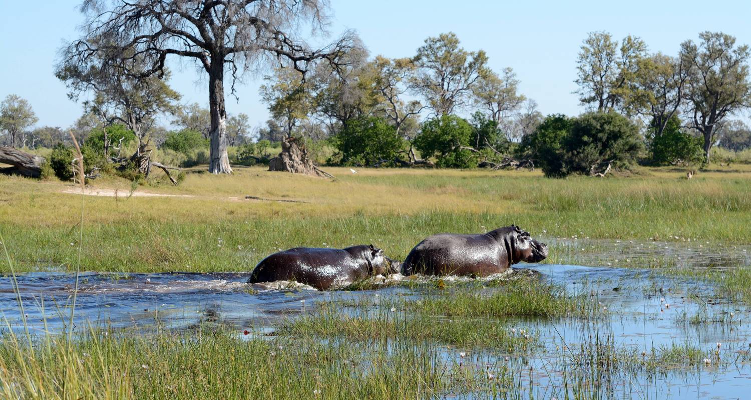 From Livingstone: 3-days safari travel to Kafue National Park