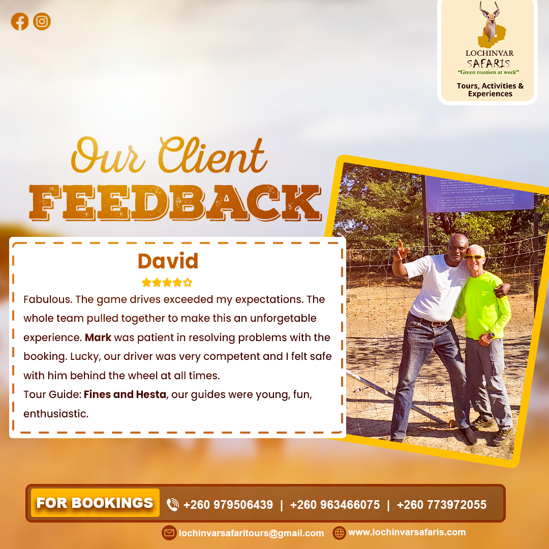 David - Our Client Feedback