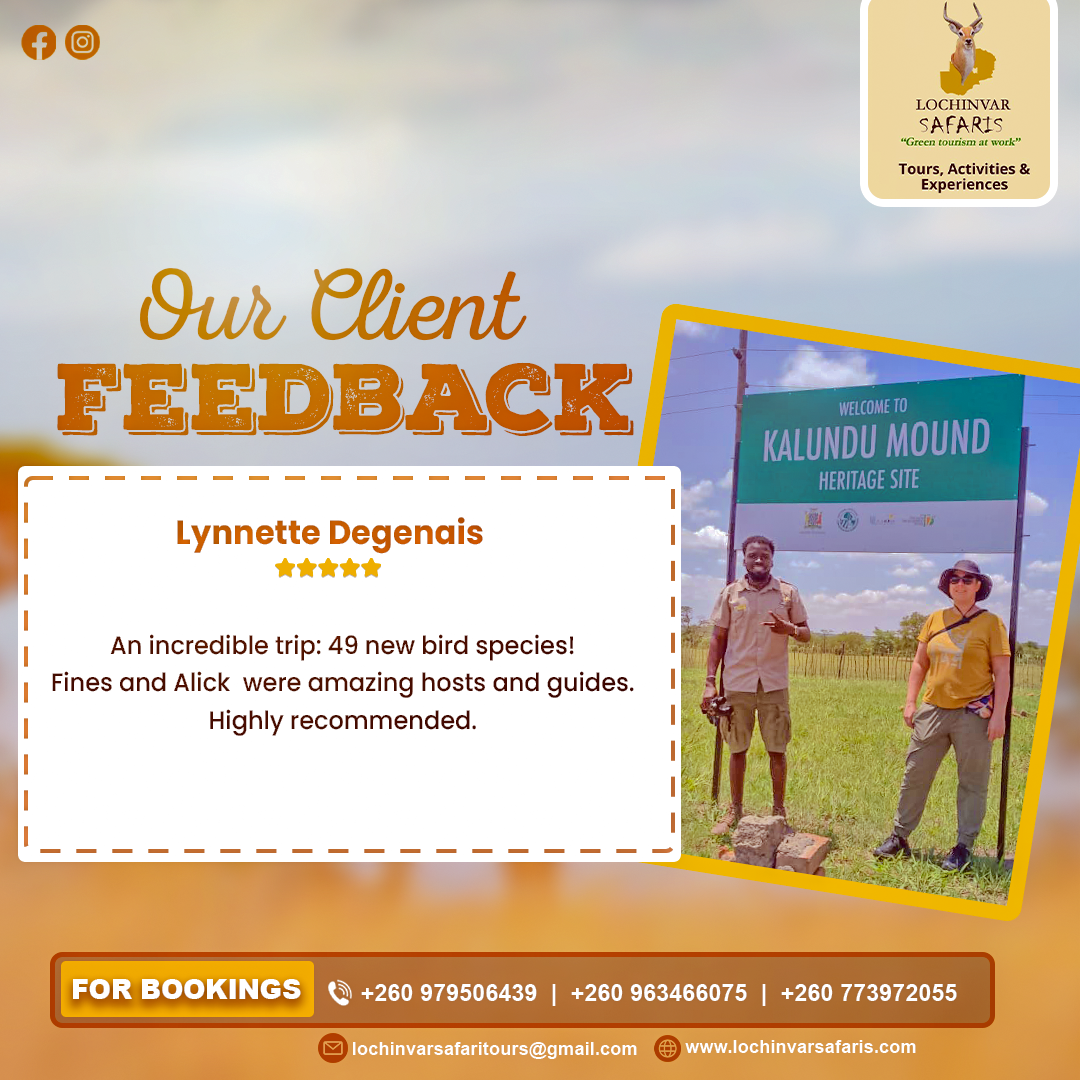 Lynnette Review
